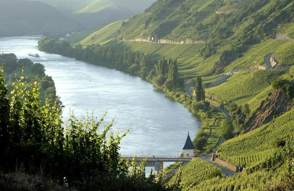 Gasthof Ernst Clüsserath Weingut&weinhotelchen Trittenheim